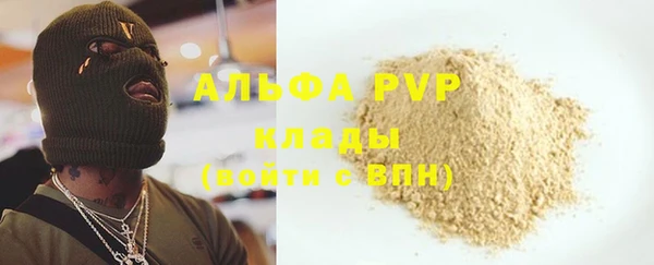 прущие грибы Белокуриха