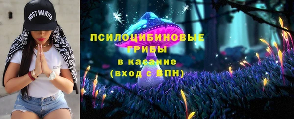 прущие грибы Белокуриха