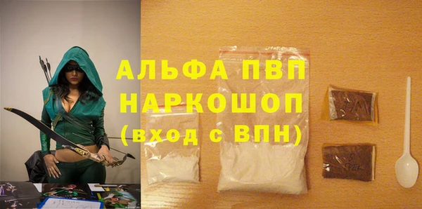 прущие грибы Белокуриха