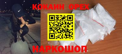 дмт Аргун