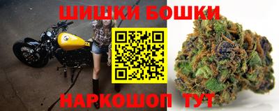 дмт Аргун
