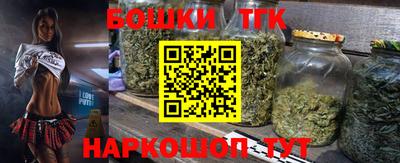 дмт Аргун