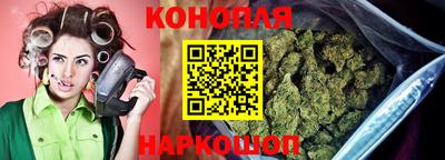 дмт Аргун