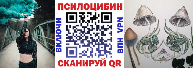 Галлюциногенные грибы Psilocybine cubensis  нарко площадка как зайти  Бугульма 