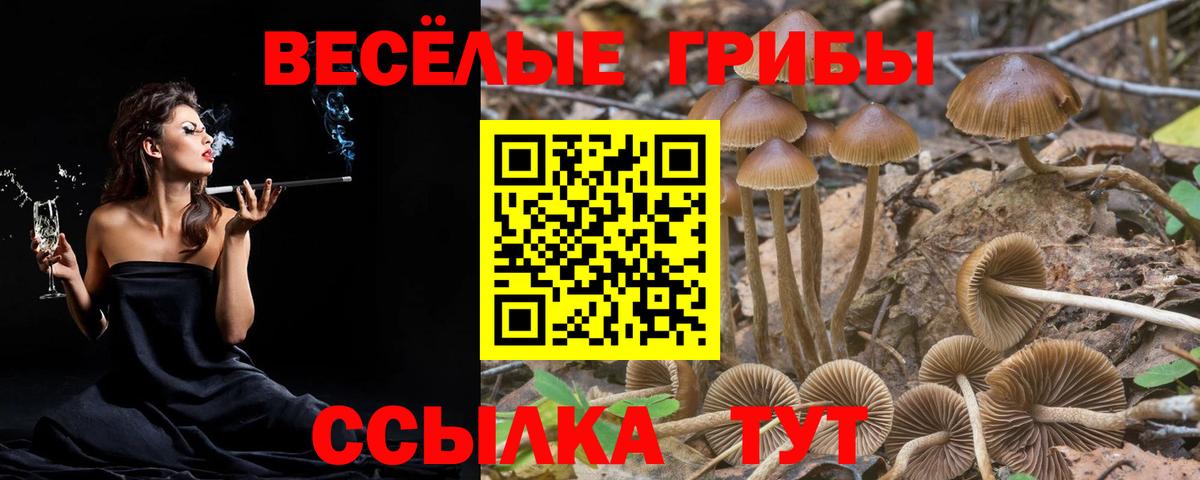 Псилоцибиновые грибы прущие грибы Бугульма
