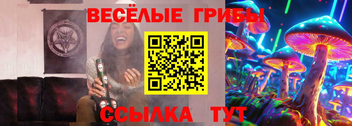 Псилоцибиновые грибы Psilocybine cubensis  Псилоцибиновые грибы прущие грибы  Вход с VPN  как найти закладки  Бугульма 